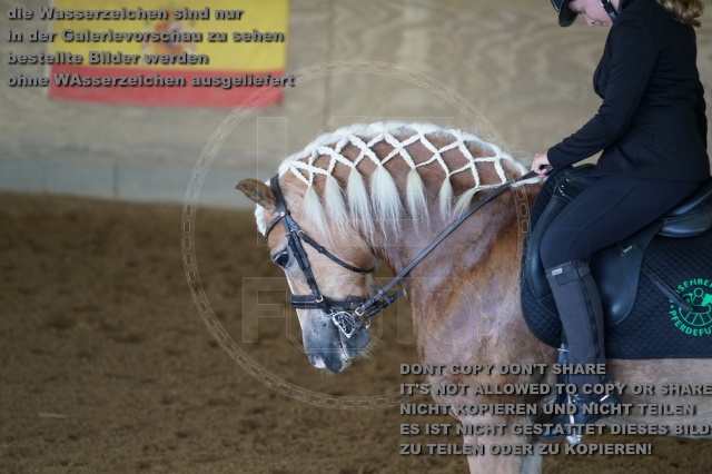 s_K3F03282.JPG